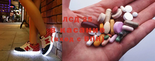 мет Ельня