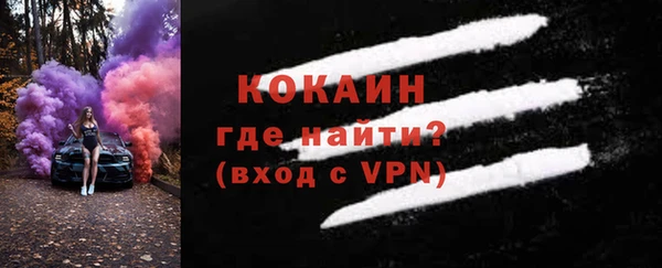 мет Ельня