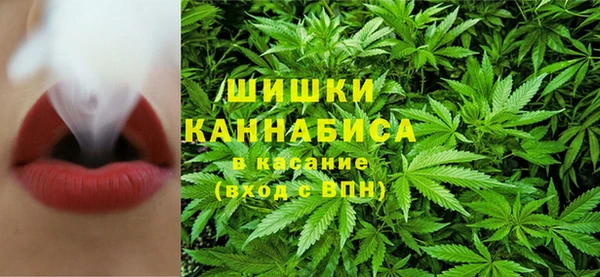 Альфа ПВП Елабуга