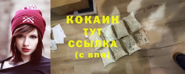 мдпв Елизово