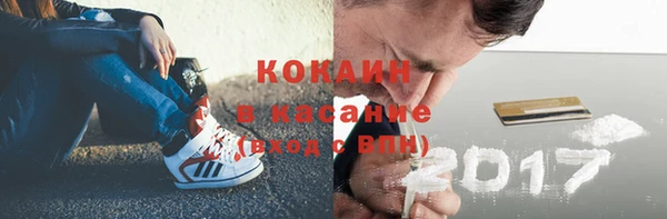 мет Ельня