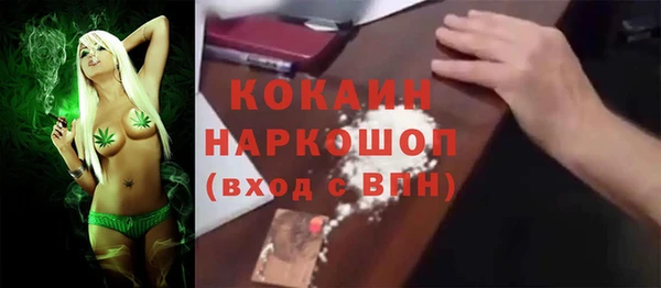 мет Ельня