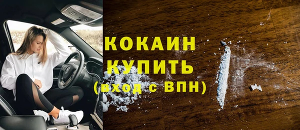 мет Ельня