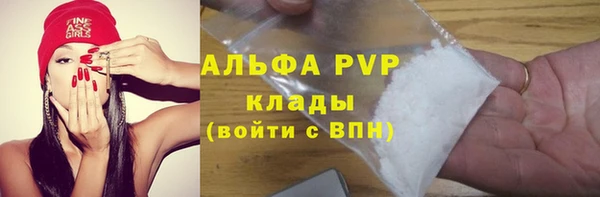 Альфа ПВП Елабуга