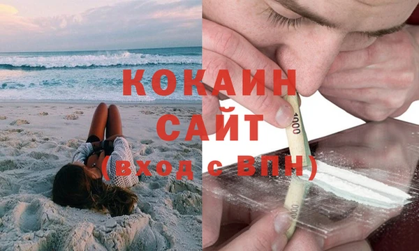 мет Ельня