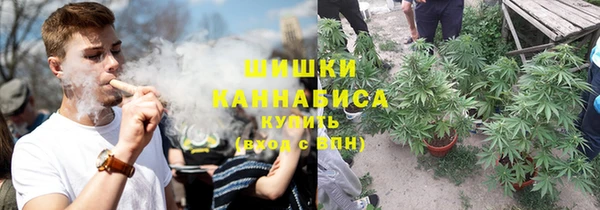 мдпв Елизово